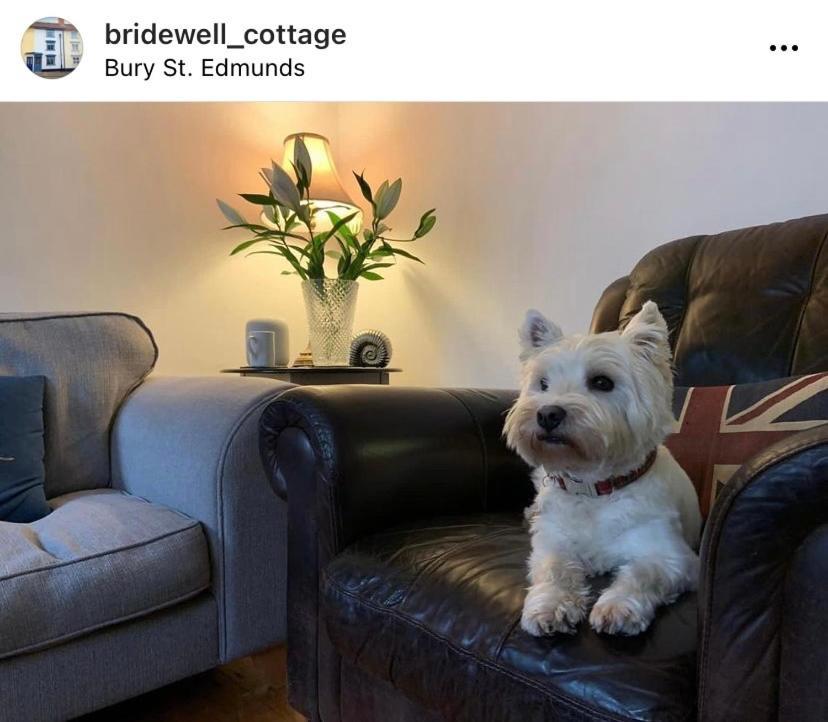 Sweet & Cosy 10 Bridewell Cottage With Parking Available Upon Request Bury St. Edmunds Εξωτερικό φωτογραφία