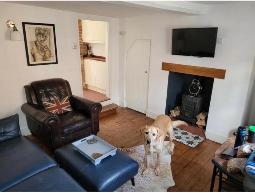 Sweet & Cosy 10 Bridewell Cottage With Parking Available Upon Request Bury St. Edmunds Εξωτερικό φωτογραφία